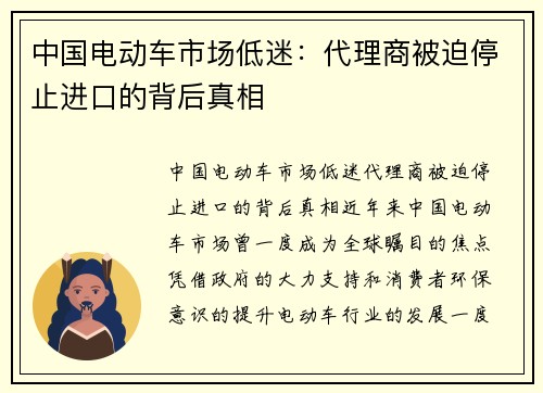 中国电动车市场低迷：代理商被迫停止进口的背后真相