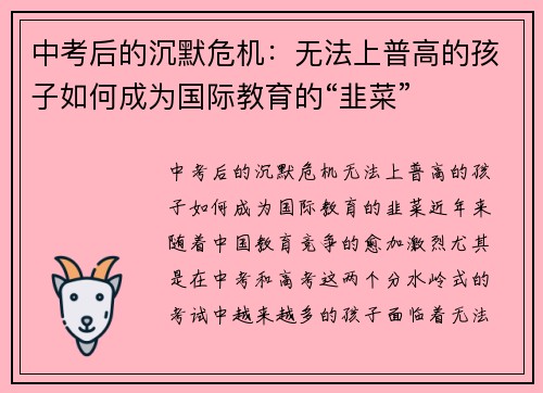 中考后的沉默危机:无法上普高的孩子如何成为国际教育的“韭菜” 中考后的沉默危机:无法上普高的孩子如何成为国际教育的“韭菜”