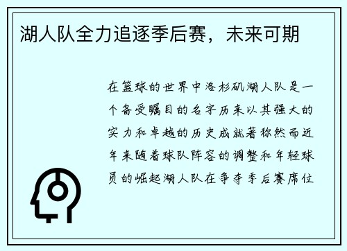 湖人队全力追逐季后赛，未来可期